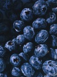 10ml Blueberry